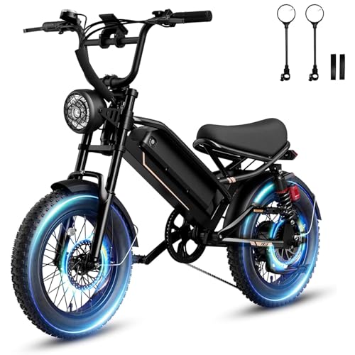 1500W 48V Removable Battery 16'' Fat Tire Full Suspension Electric Bike Q69936