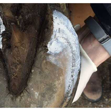 Hoof Clay 750g T8822