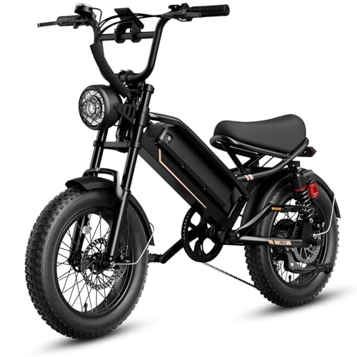 1500W 48V Removable Battery 16'' Fat Tire Full Suspension Electric Bike Q69936