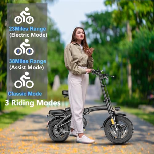14" Mini Folding Electric Bike with 48V12AH Removable Battery A12484