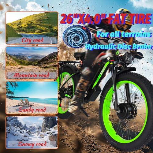 2000W Electric Bike with 48V 20AH Battery 26x4.0 Fat Tire Mountain E Bike Dual Motor 21-Speed Dual Hydraulic Disc Brake Q2780