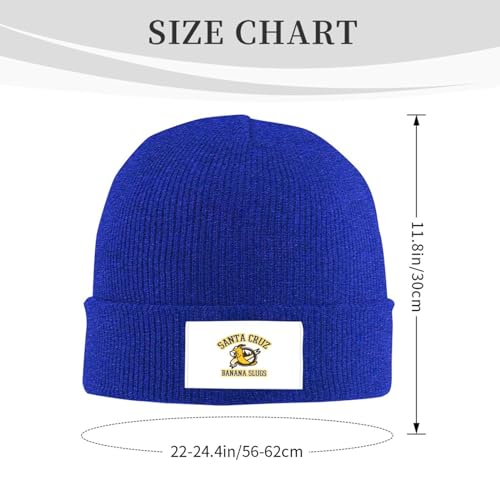 Classic Warm Winter Knit Fleece Lined Beanie Hat C743869