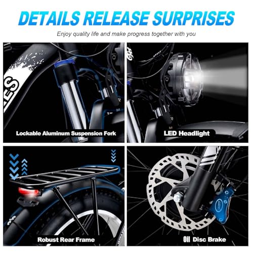 2000W Electric Bike with 48V 20AH Battery 26x4.0 Fat Tire Mountain E Bike Dual Motor 21-Speed Dual Hydraulic Disc Brake Q2780