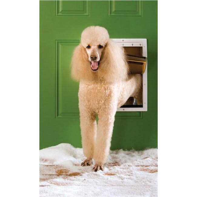 Extreme Weather Pet Door V51874