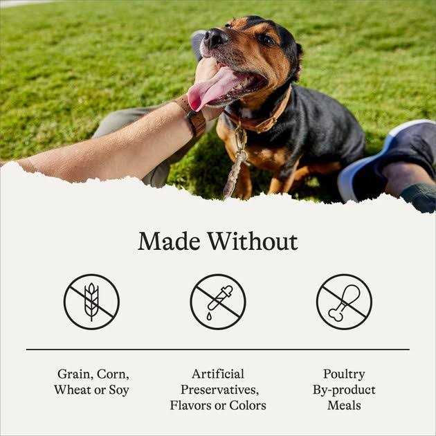 Limited Ingredient Grain-Free Sweet Potato Recipe Dry Dog Food A990797