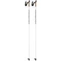 Cross Country Ski Poles H3639