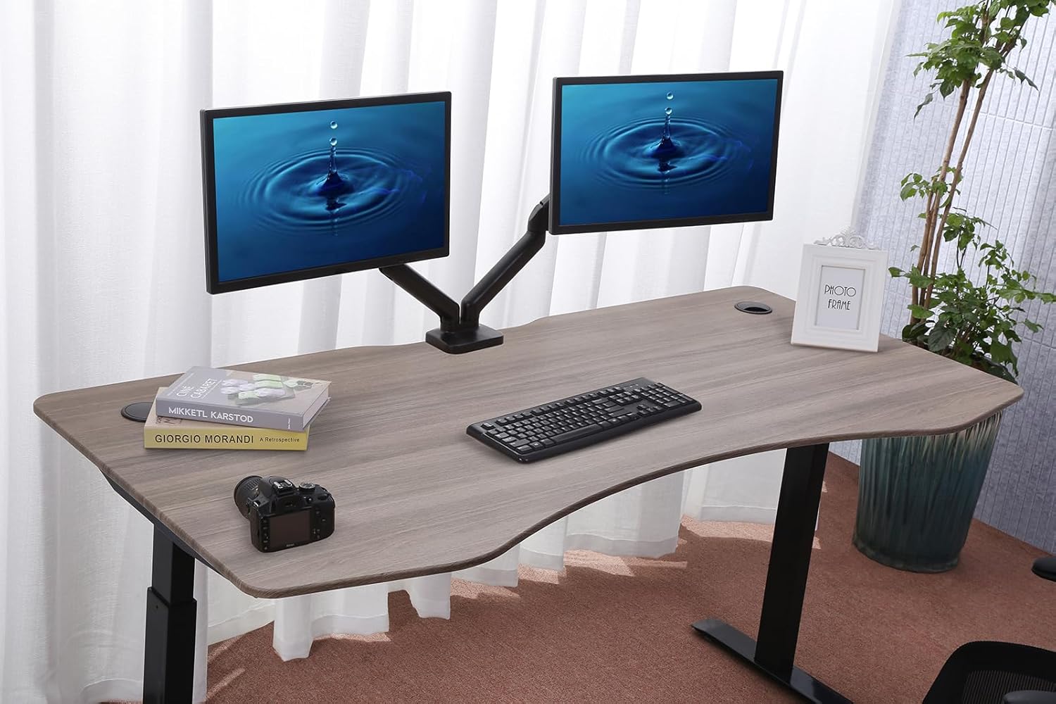 71" x 33" Electric Height Adjustable Desk with Curved Teak Top and Black Frame T395984