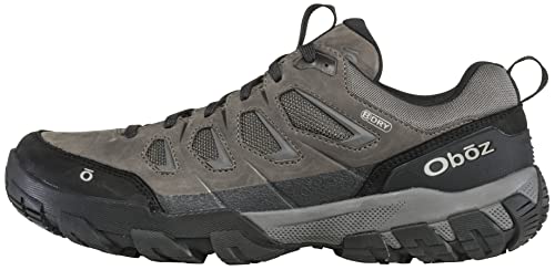 Low Hiking Shoe Y27512