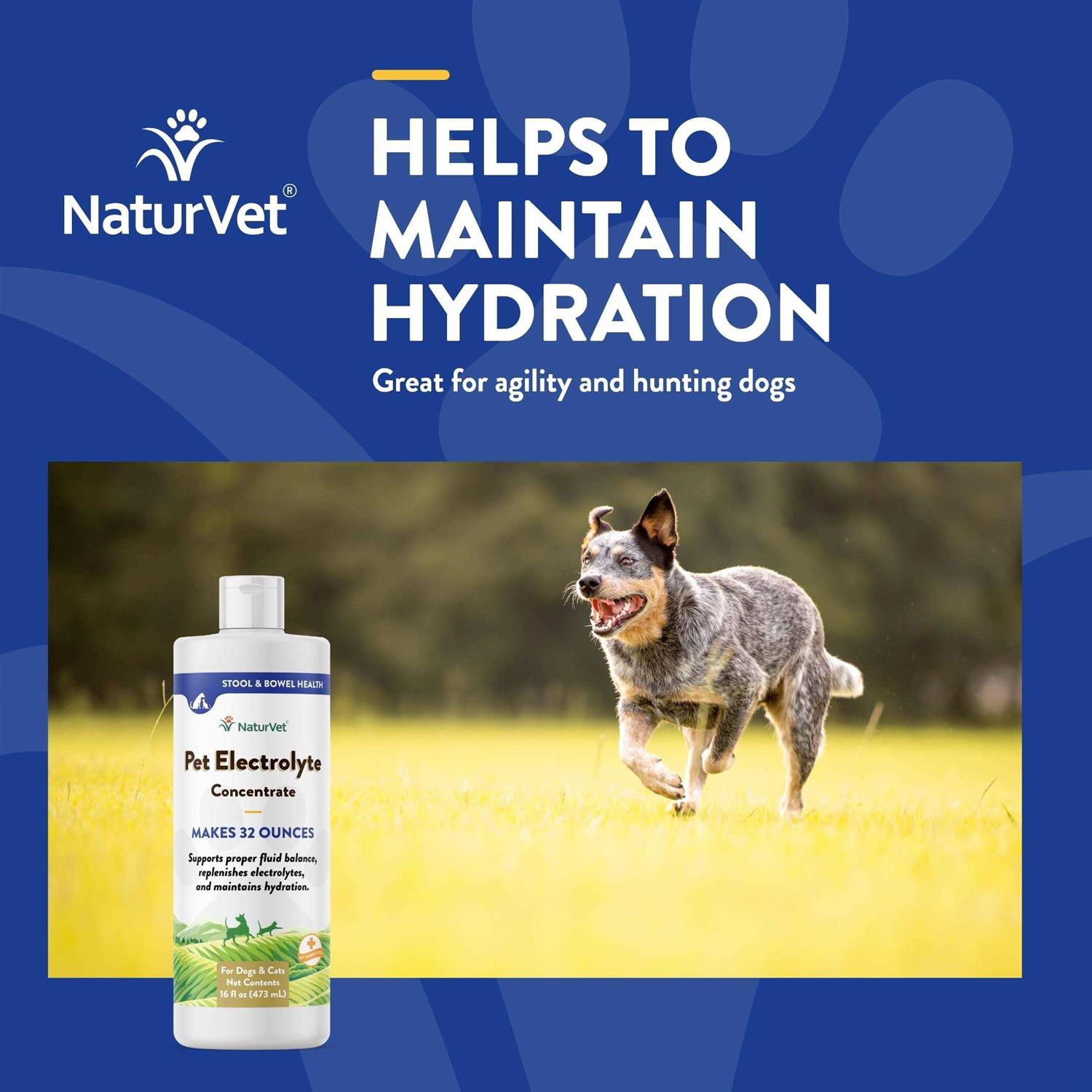 16 oz Pet Electrolyte Concentrate U287677