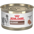 Recovery Ultra Soft Mousse in Sauce Wet Dog & Cat Food G983