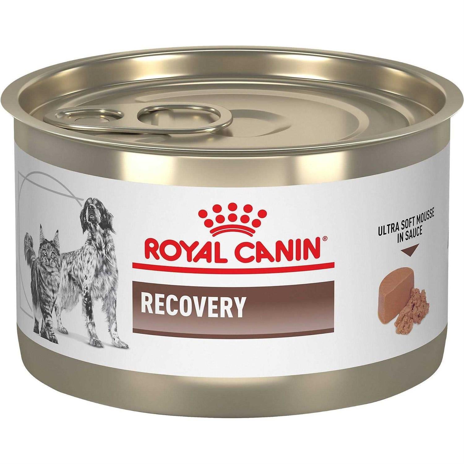 Recovery Ultra Soft Mousse in Sauce Wet Dog & Cat Food G983