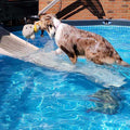 Pool Bundle U829251