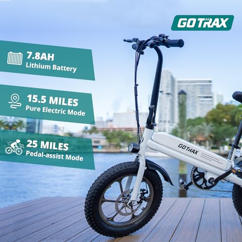 16x3.0 Fat Tire Folding Electric Bike with Removable Battery R938