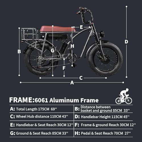 Electric Retro Cargo Bicycle 2000W Dual Motor 48V 18Ah 20" Fat Tire 7 Speed Ebike Y7092