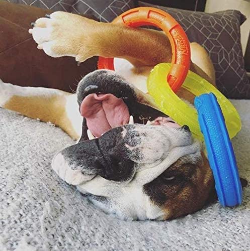 10.5in Rubber 3-Ring Tug Dog Toy, Blue/Green/Orange W14261