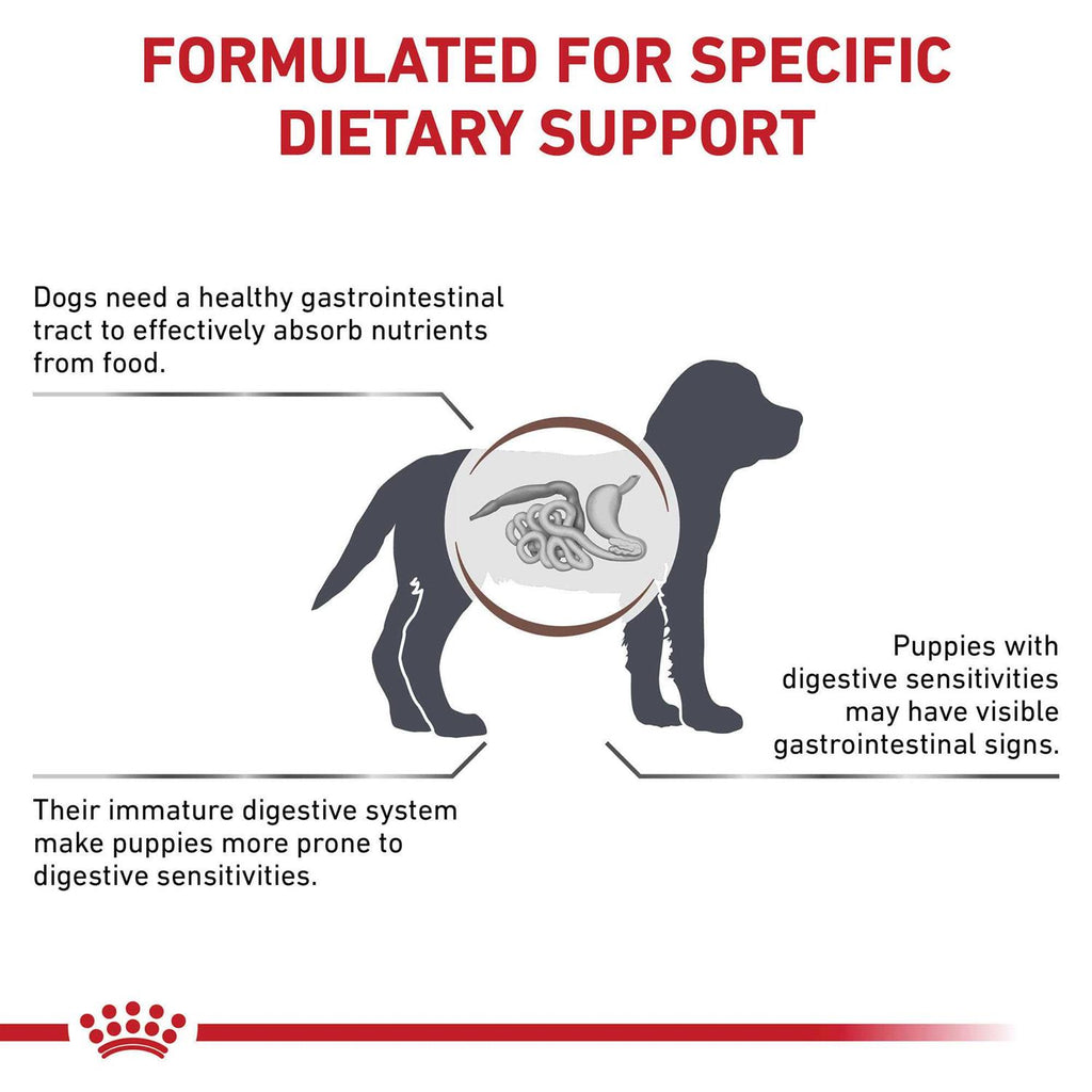 Veterinary Diet Gastrointestinal Puppy Dry Dog Food R239807