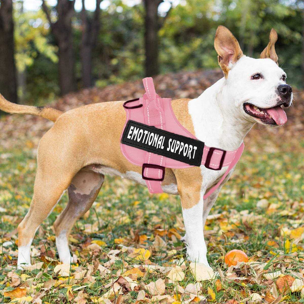 Reflective Adjustable No-Pull Dog Harness C1863