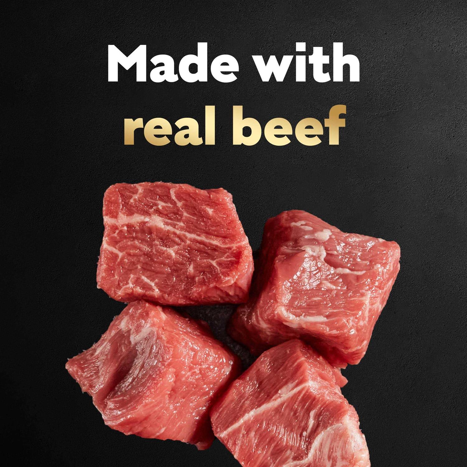 Gourmet Filets in Sauce Filet Mignon Dog Food F856