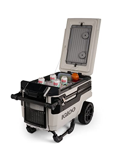 70 Qt Coolers A334