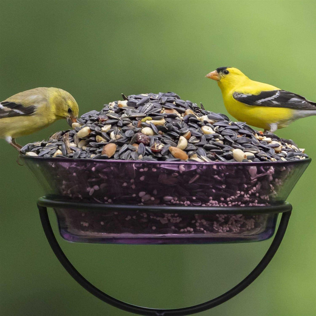 Nut Fruit & Berry Wild Bird Food L847