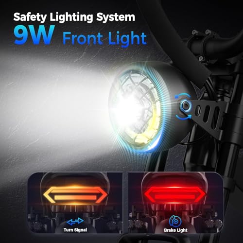 1500W 48V Removable Battery 16'' Fat Tire Full Suspension Electric Bike Q69936