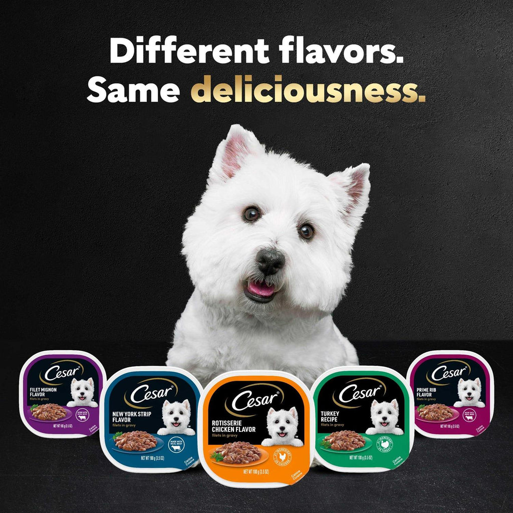 Gourmet Filets in Sauce Filet Mignon Dog Food F856