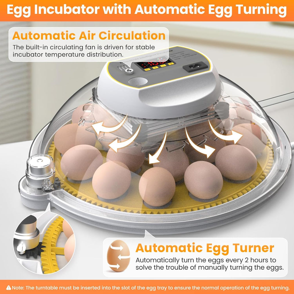 18-60 Eggs Incubator with Automatic Egg Turning and Auto Water Adding K163