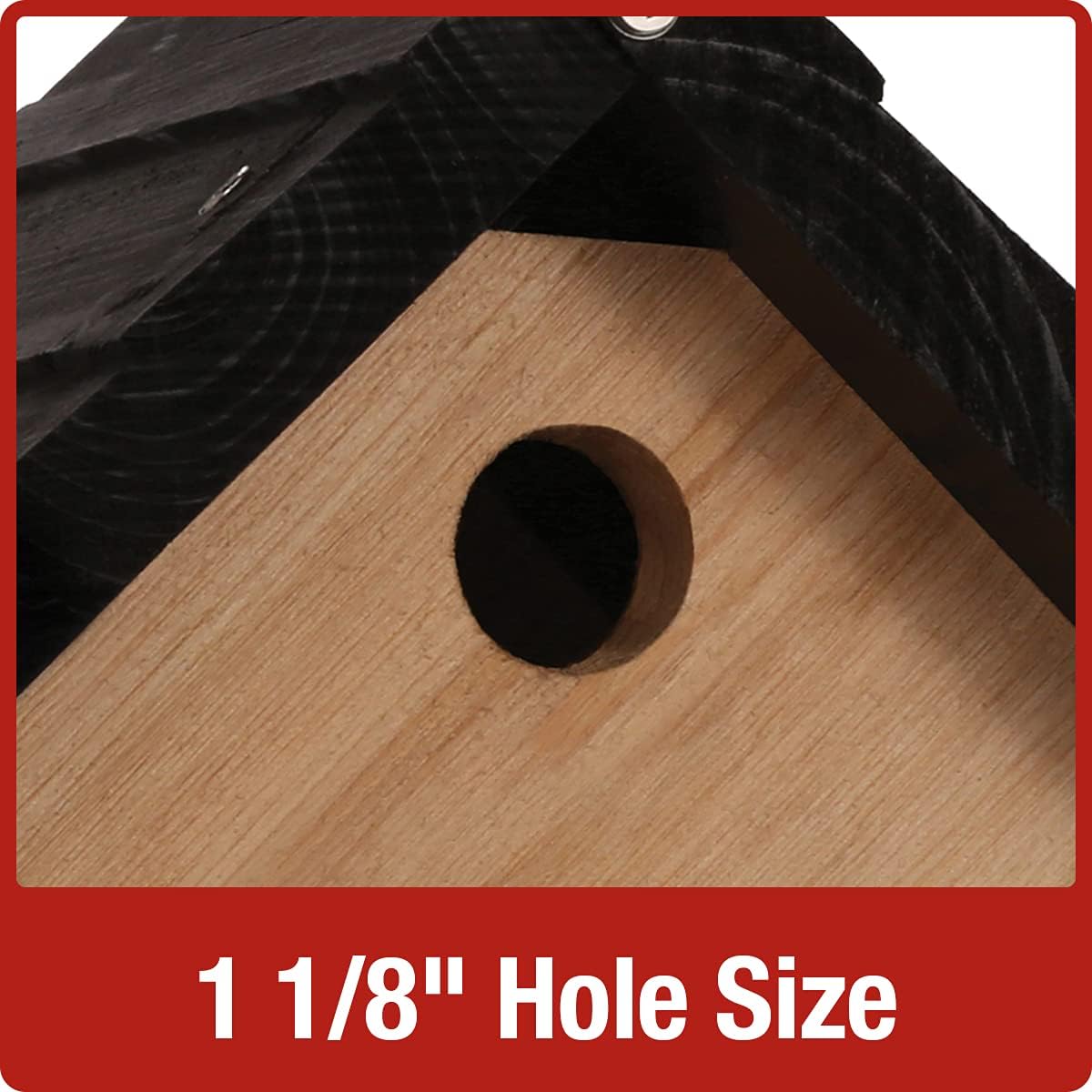 Cedar Wren House X290133