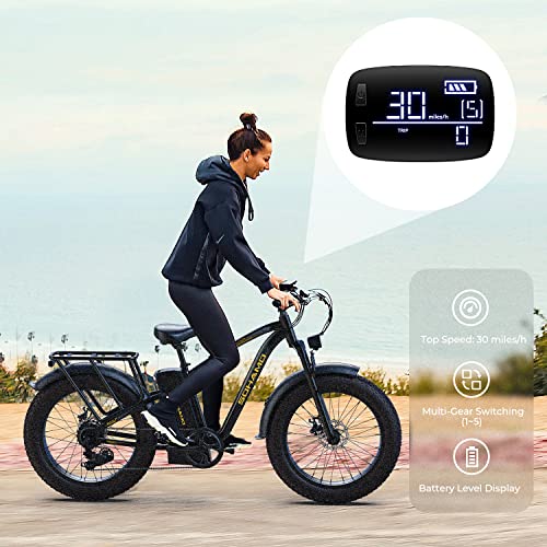 26" Fat Tire Electric Mountain Bike with 48V Removable Battery F92240