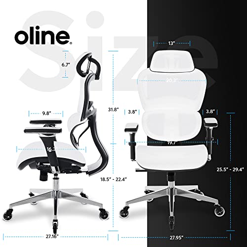 Ergonomic Office Chair with 4D Adjustable Armrest, Mesh (Black) Z68479