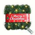 30 Feet 50 LED Battery Operated Pre-Lit Green Garland J614612