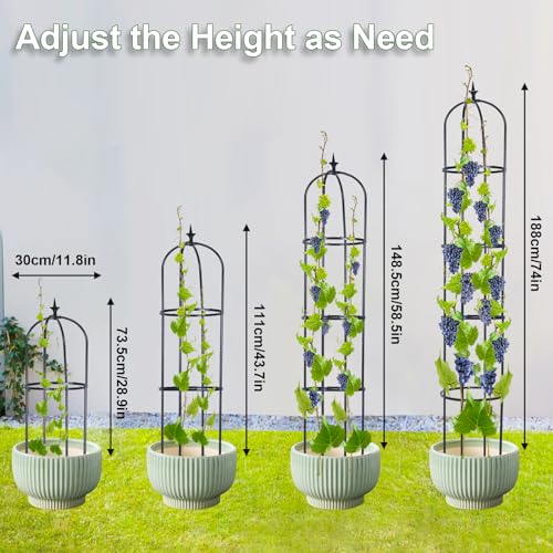 2 Pack 6ft Garden Obelisk Trellis for Climbing Plants W25906