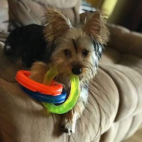 10.5in Rubber 3-Ring Tug Dog Toy, Blue/Green/Orange W14261