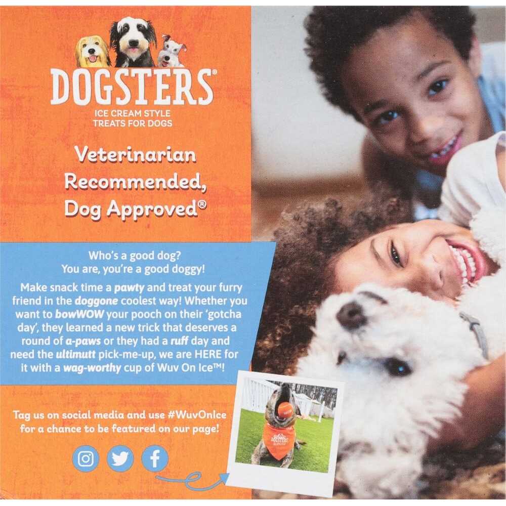 Ice Cream Style Treats for Dogs O946