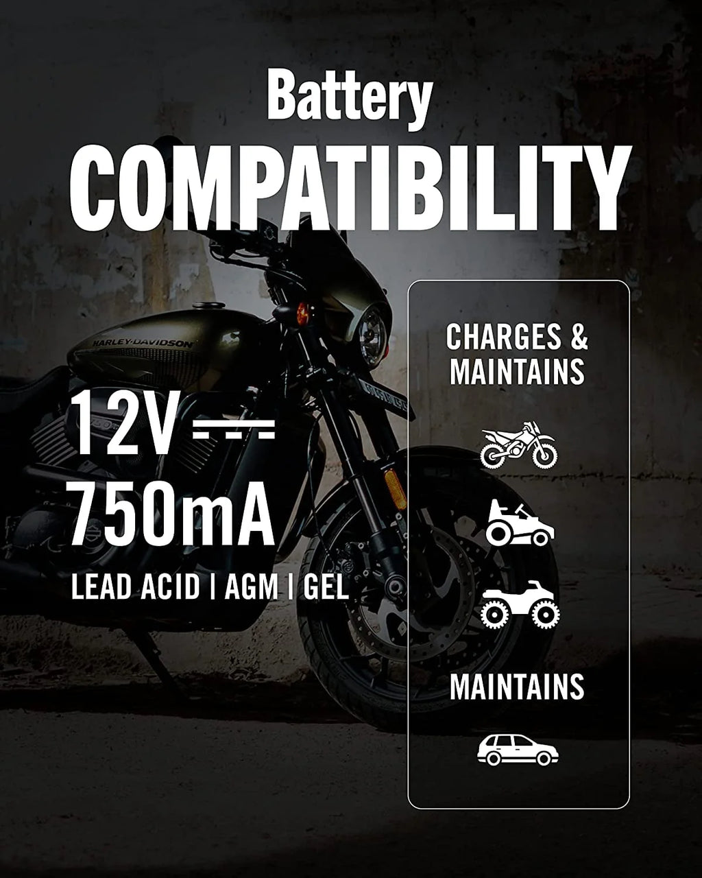12V 750mA Automatic Battery Charger and Maintainer X4119