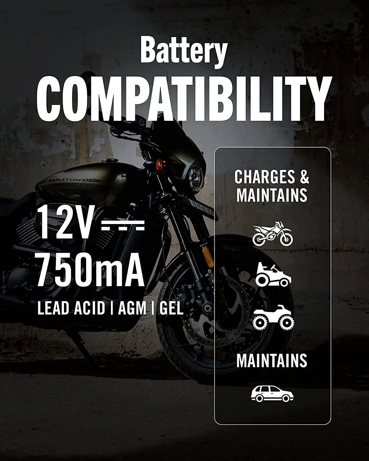 12V 750mA Automatic Battery Charger and Maintainer X4119