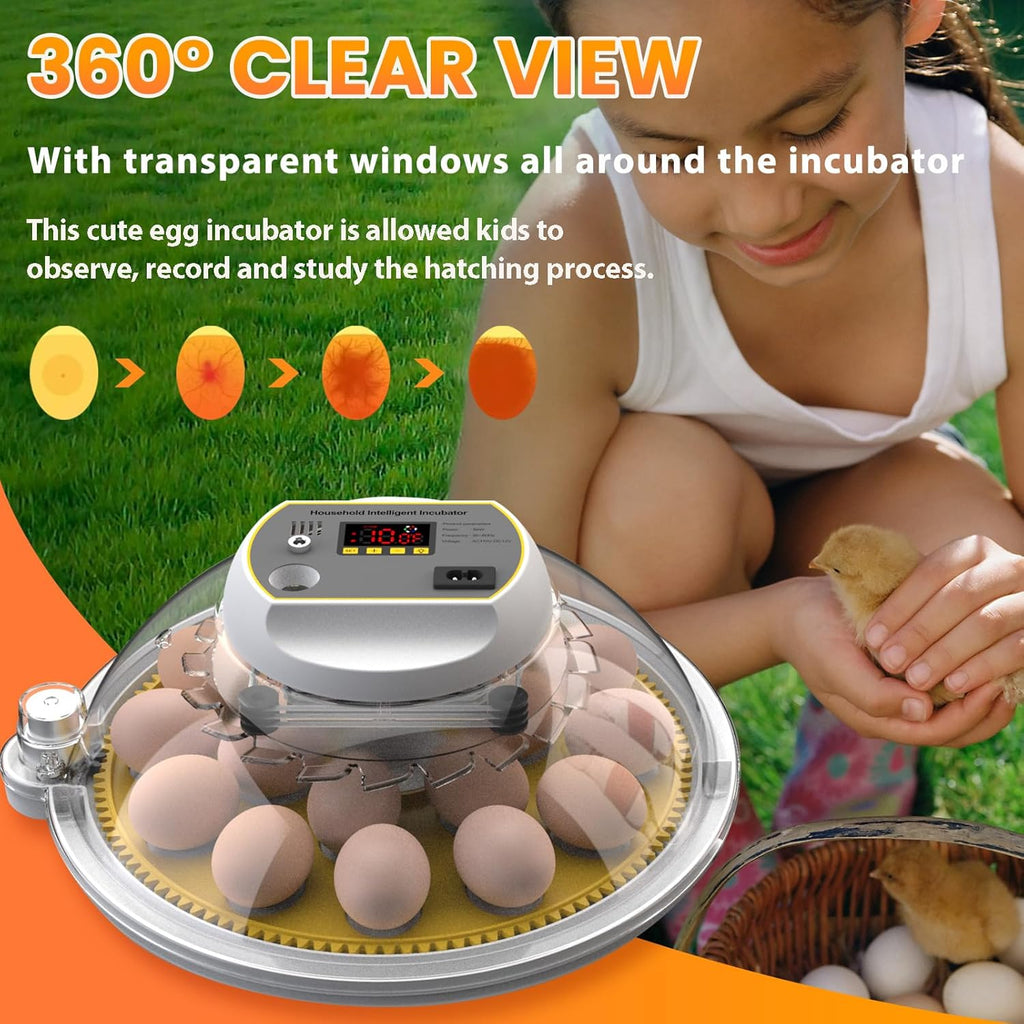 18-60 Eggs Incubator with Automatic Egg Turning and Auto Water Adding K163