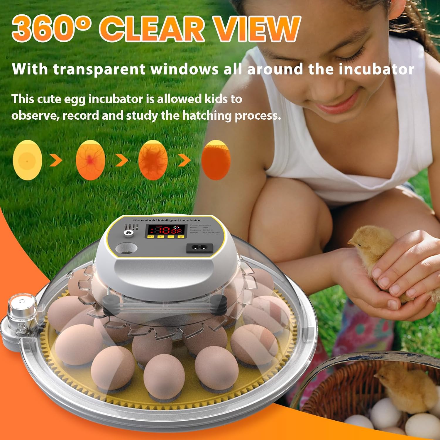 18-60 Eggs Incubator with Automatic Egg Turning and Auto Water Adding K163