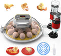 18-60 Eggs Incubator with Automatic Egg Turning and Auto Water Adding K163