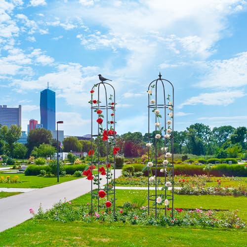 2 Pack 6ft Garden Obelisk Trellis for Climbing Plants W25906