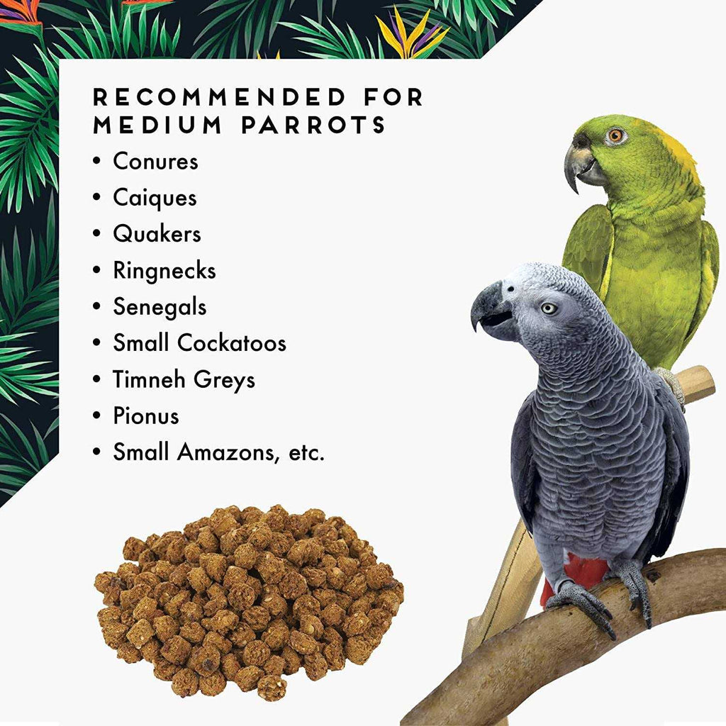 Oven Fresh Bites Large Pet Supplies R3483