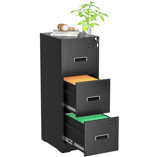 Black 2 Drawer Locking Metal File Cabinet R569000