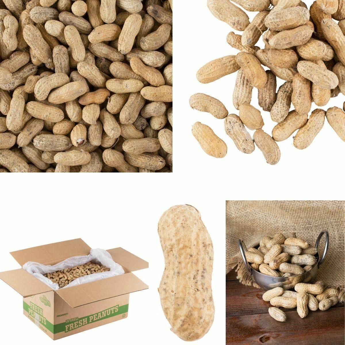 25 lb. Roasted Unsalted In-Shell Peanuts P741881